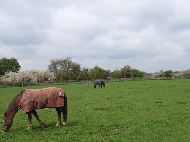 Foto “Farnham Royal” tomada por Andrew Smith (CC BY-SA); recorte de la original