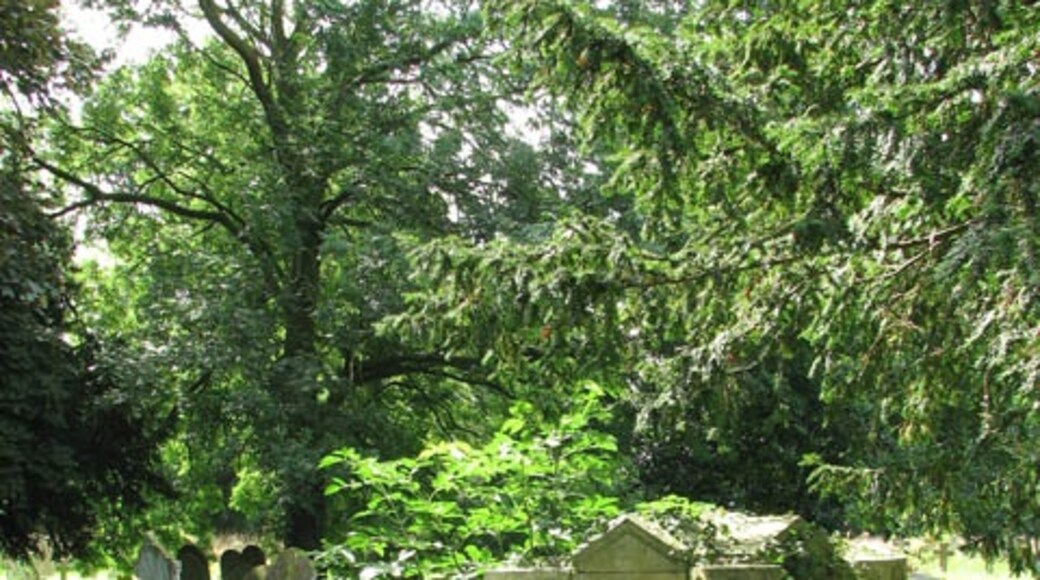 Kuva ”Wortwell” käyttäjältä Evelyn Simak (CC BY-SA) / rajattu alkuperäisestä kuvasta