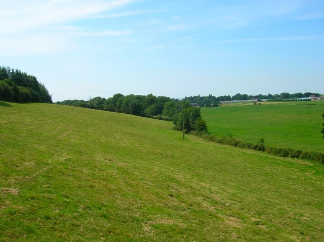 Wealden Landscape near Little Wood A small stream that has its source a few hundred yards to the north follows the line down the centre of the valley into Little Wood before heading onto the Pevensey Levels. In the distance to the right are the glasshouses of Place Farm.