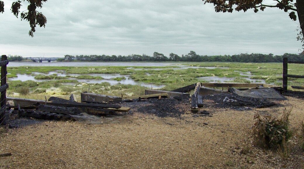 Photo "Upton Country Park" by Ian Kirk (CC BY) / Cropped from original