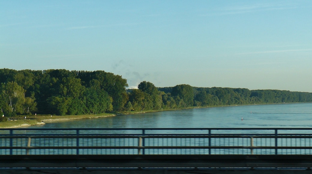 Wörth am Rhein, Rheinland-Pfalz, Deutschland