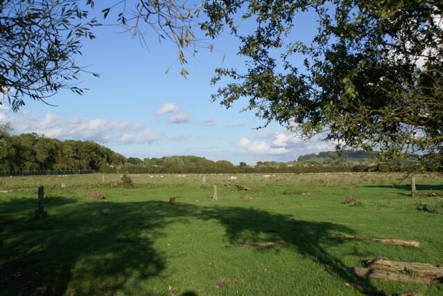 "Westcott"-foto av Mark Edwards (CC BY-SA) / Urklipp från original