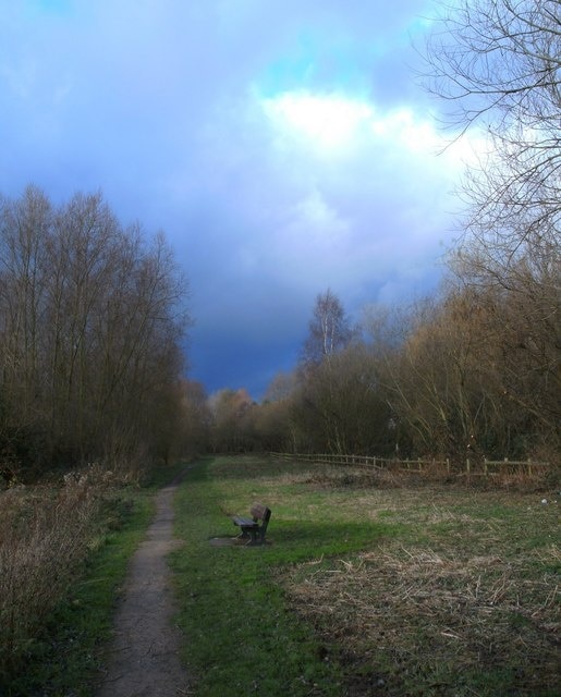 The Osiers Nature Area A tranquil area of paths and woodland nestled between Lubbesthorpe Road and the Hilton Hotel in south Leicester.