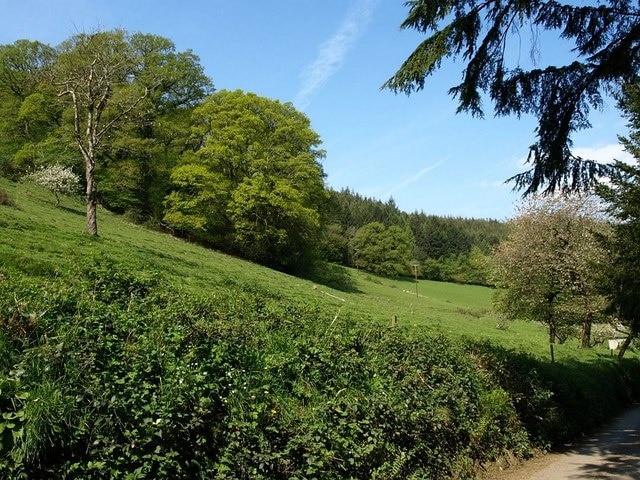 Slopes of Tamar valley, Underhill Taken from the public access track approaching the farm at Underhill. A small unnamed wood is an outlier of the large Gunoak Wood, which clothes the slopes beyond.