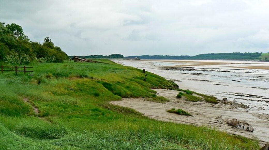 Foto "Hinton" por Brian Robert Marshall (CC BY-SA) / Recortada de la original