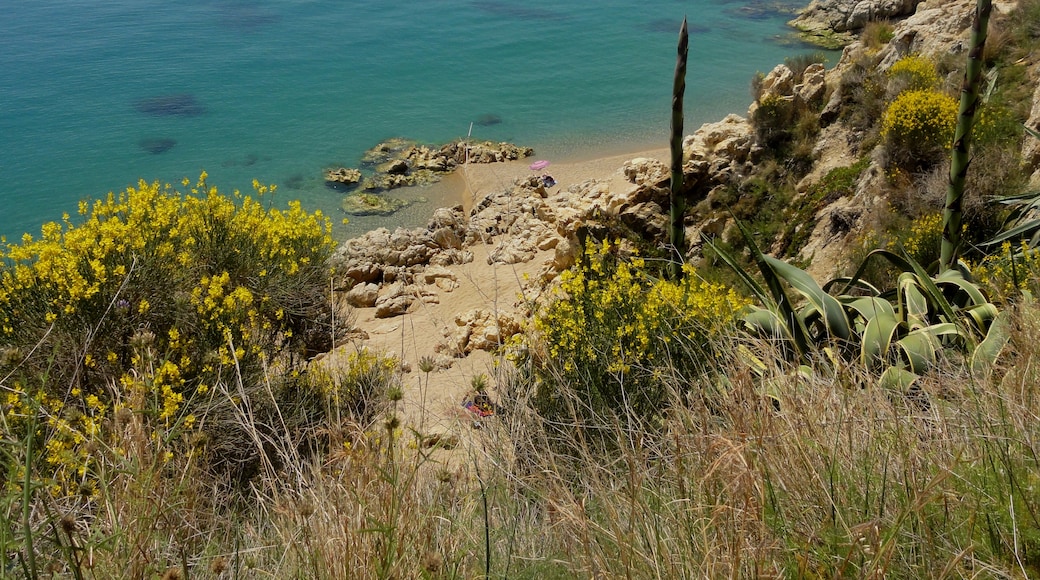 Foto "Playa de Roca Grossa" de Isidro Jabato (page does not exist) (CC BY-SA) / Recortada de la original