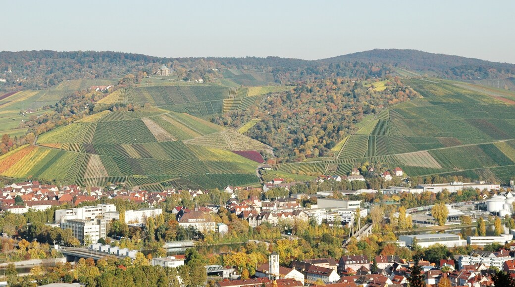 Photo "Wangen" by qwesy qwesy (CC BY) / Cropped from original