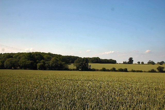 Kuva ”Rede” käyttäjältä Bob Jones (CC BY-SA) / rajattu alkuperäisestä kuvasta