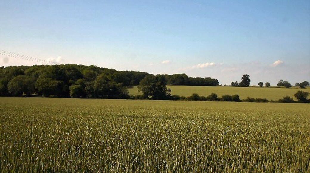 Kuva ”Rede” käyttäjältä Bob Jones (CC BY-SA) / rajattu alkuperäisestä kuvasta