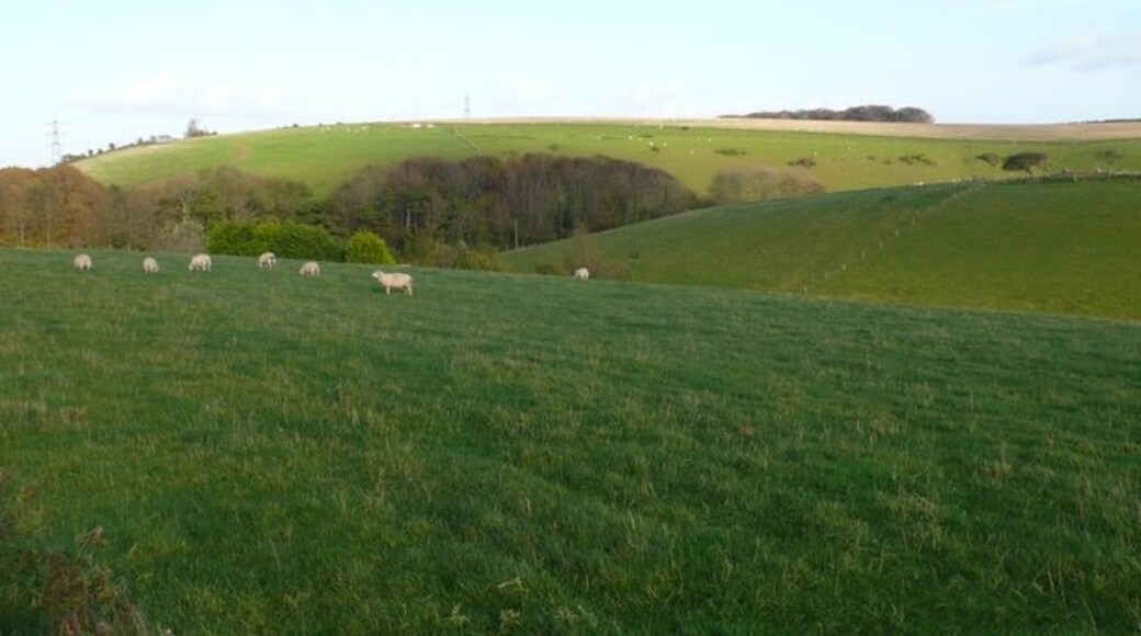 "Winterbourne Steepleton"-foto av Nigel Mykura (CC BY-SA) / Urklipp från original
