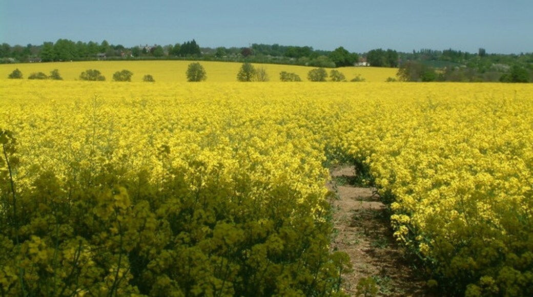 Kuva ”Mountnessing” käyttäjältä Robin Lucas (CC BY-SA) / rajattu alkuperäisestä kuvasta