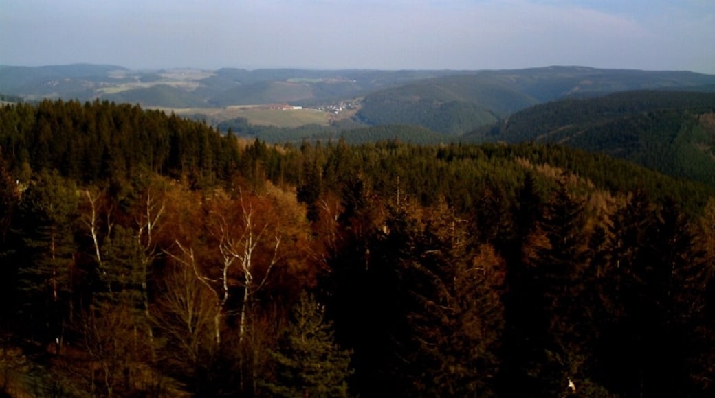 Foto "Oberweißbach/Thür. Wald" di deWaldmann (CC BY-SA) / Ritaglio dell’originale