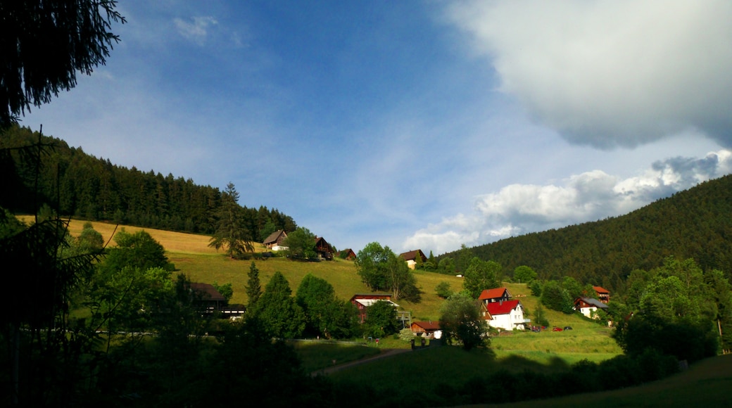 Foto "Alpirsbach" de Dg-505 (CC BY) / Recortada do original