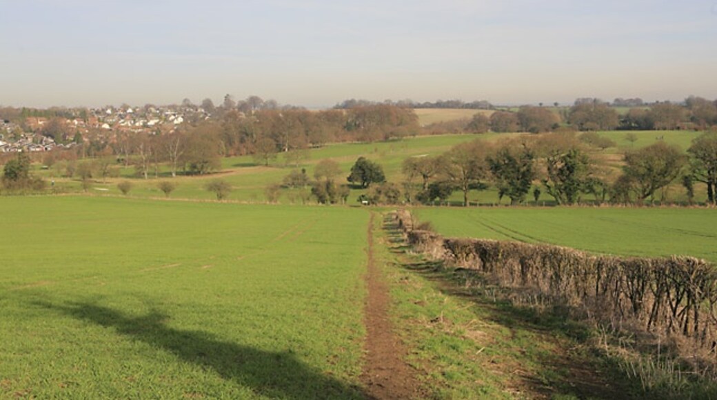 "Tichborne"-foto av Peter Facey (CC BY-SA) / Urklipp från original