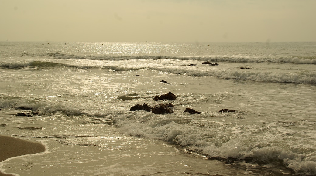 Photo "La Luna Beach" by Concepcion AMAT ORTA… (CC BY) / Cropped from original