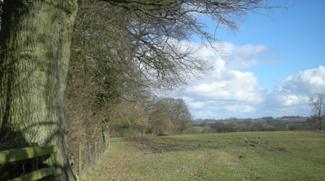 Kuva ”Aston Botterell” käyttäjältä Row17 (CC BY-SA) / rajattu alkuperäisestä kuvasta