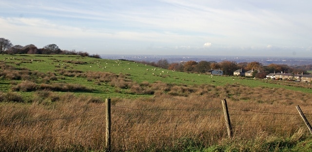 Ảnh "Công viên Quốc gia Witton" của Mr T (CC BY-SA) / Cắt từ ảnh gốc