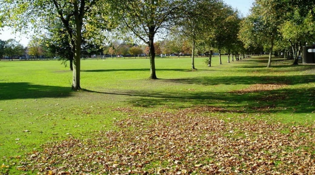 Photo "Norwood Green" by J Taylor (CC BY-SA) / Cropped from original