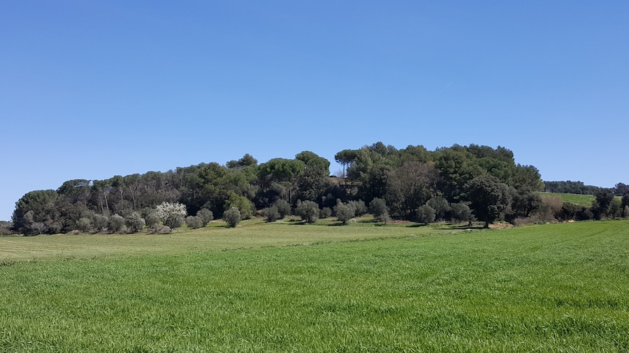 Petit puig al terme municipal de Forallac