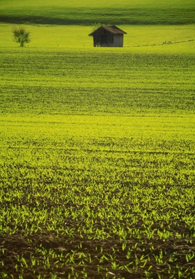 Germany - Green farm Around Starnberger See