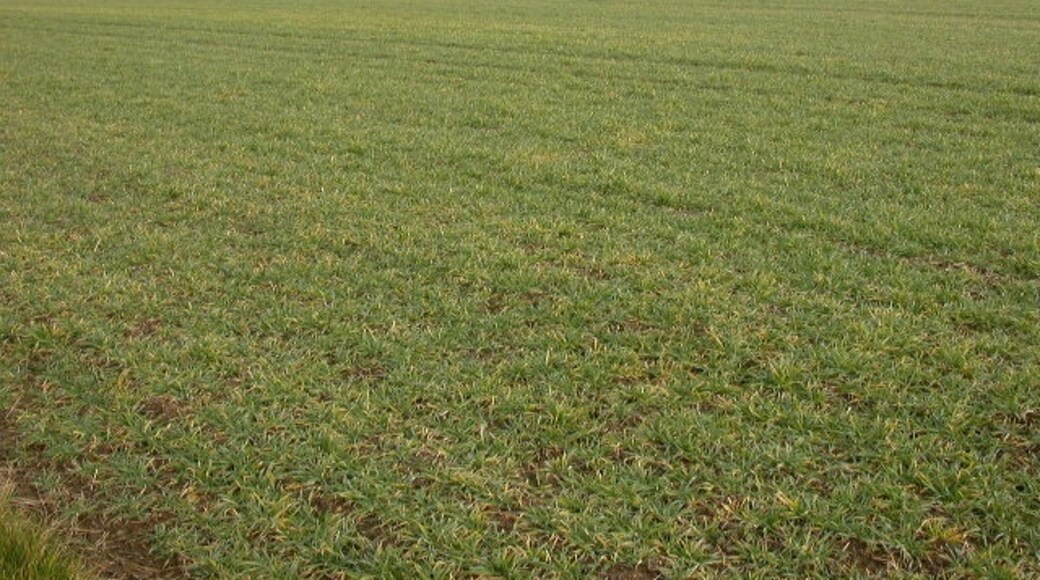 Foto “Offord Cluny and Offord D'Arcy” tomada por Kokai (CC BY-SA); recorte de la original