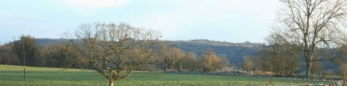 Photo "Near Limpley Stoke Conkwell Wood is on the hill in the distance, on the other side of the River Avon. This is the best of three pictures I was able to take here, the horse had a black companion who insisted on standing in front of the camera as near as he could get." by Maurice Pullin (Creative Commons Attribution-Share Alike 2.0) / Cropped from original