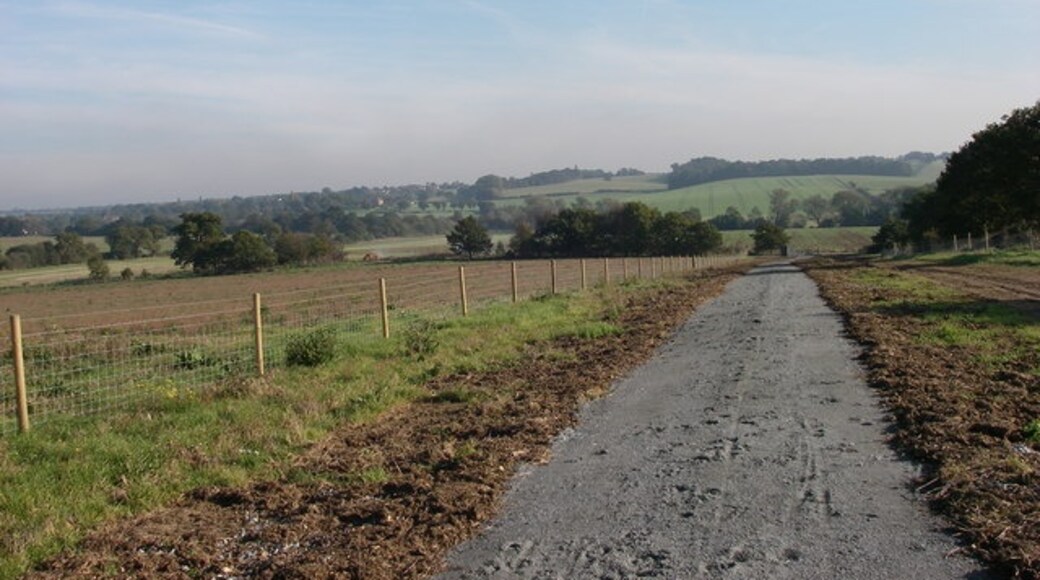 Kuva ”Stapleford Abbotts” käyttäjältä sarah white (CC BY-SA) / rajattu alkuperäisestä kuvasta