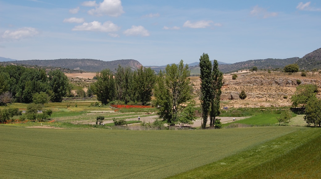 Photo "Viana de Jadraque" by José Ibáñez (CC BY) / Cropped from original