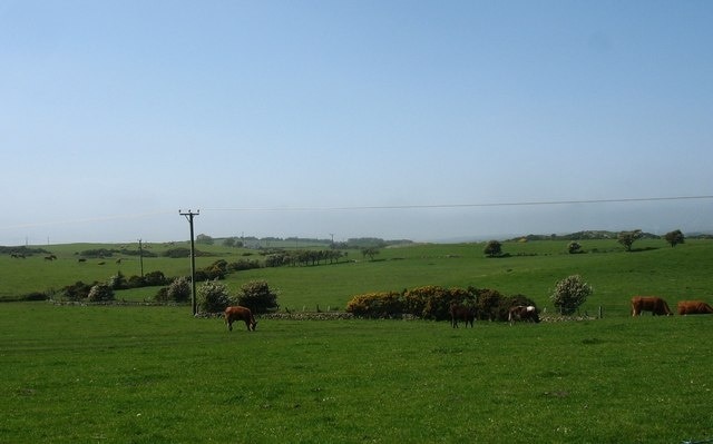 View westwards across grazing land