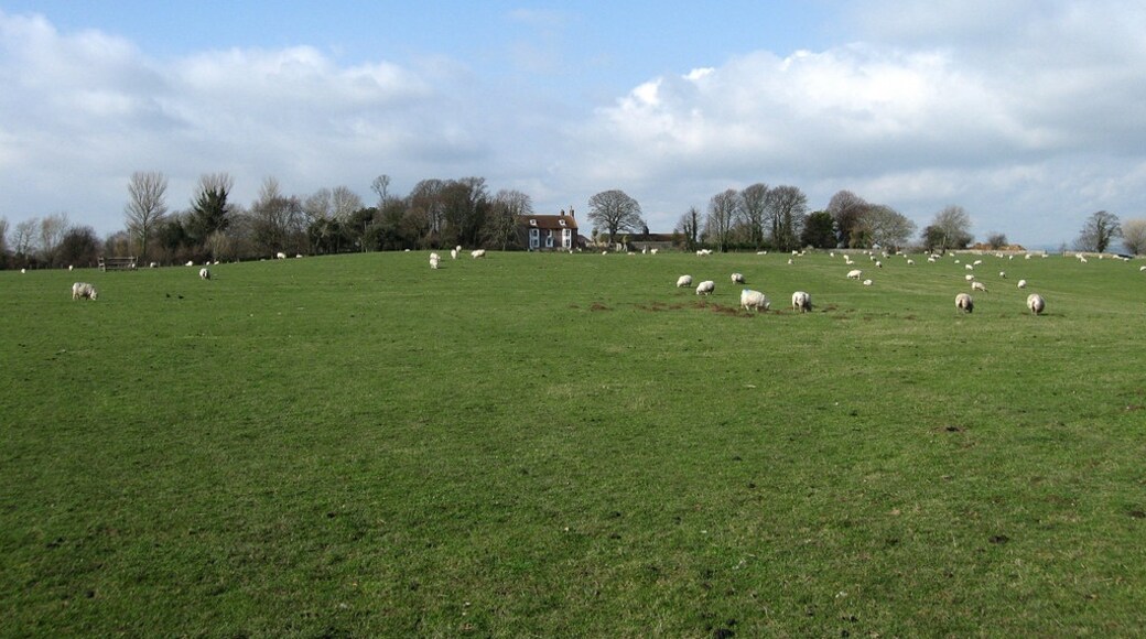 Foto "Westham" de Simon Carey (CC BY-SA) / Recortada do original