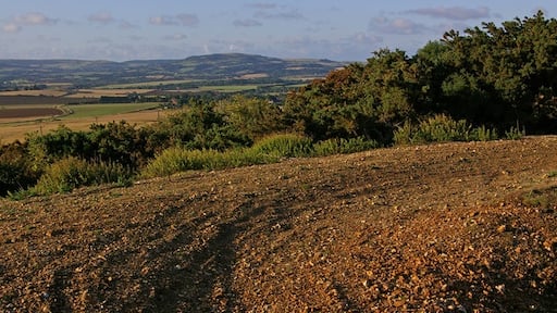 Photo "Arreton" by Ian Capper (CC BY-SA) / Cropped from original