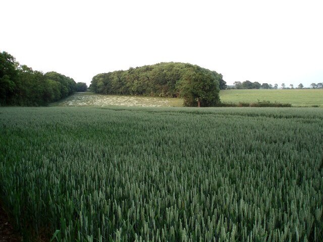 Foto „Shalstone“ von Duncan Lilly (CC BY-SA)/zugeschnittenes Original