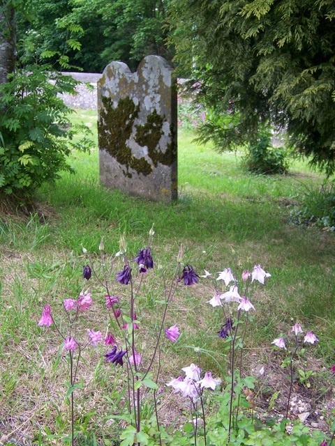 Photo "Sompting" by Trish Steel (CC BY-SA) / Cropped from original