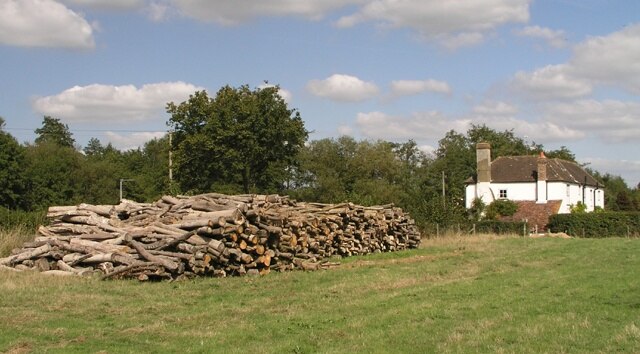 Log pile with Rose Cottages behind. This timber was presumably cropped during the thinning out of the High Wood DEFRA conservation area.