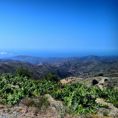 Sierra de la Contraviesa