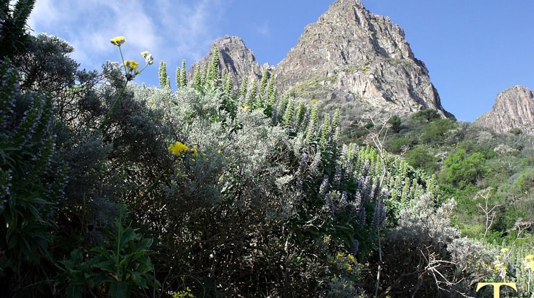 Foto "Valsequillo de Gran Canaria" de Toni Teror (CC BY) / Recortada de la original