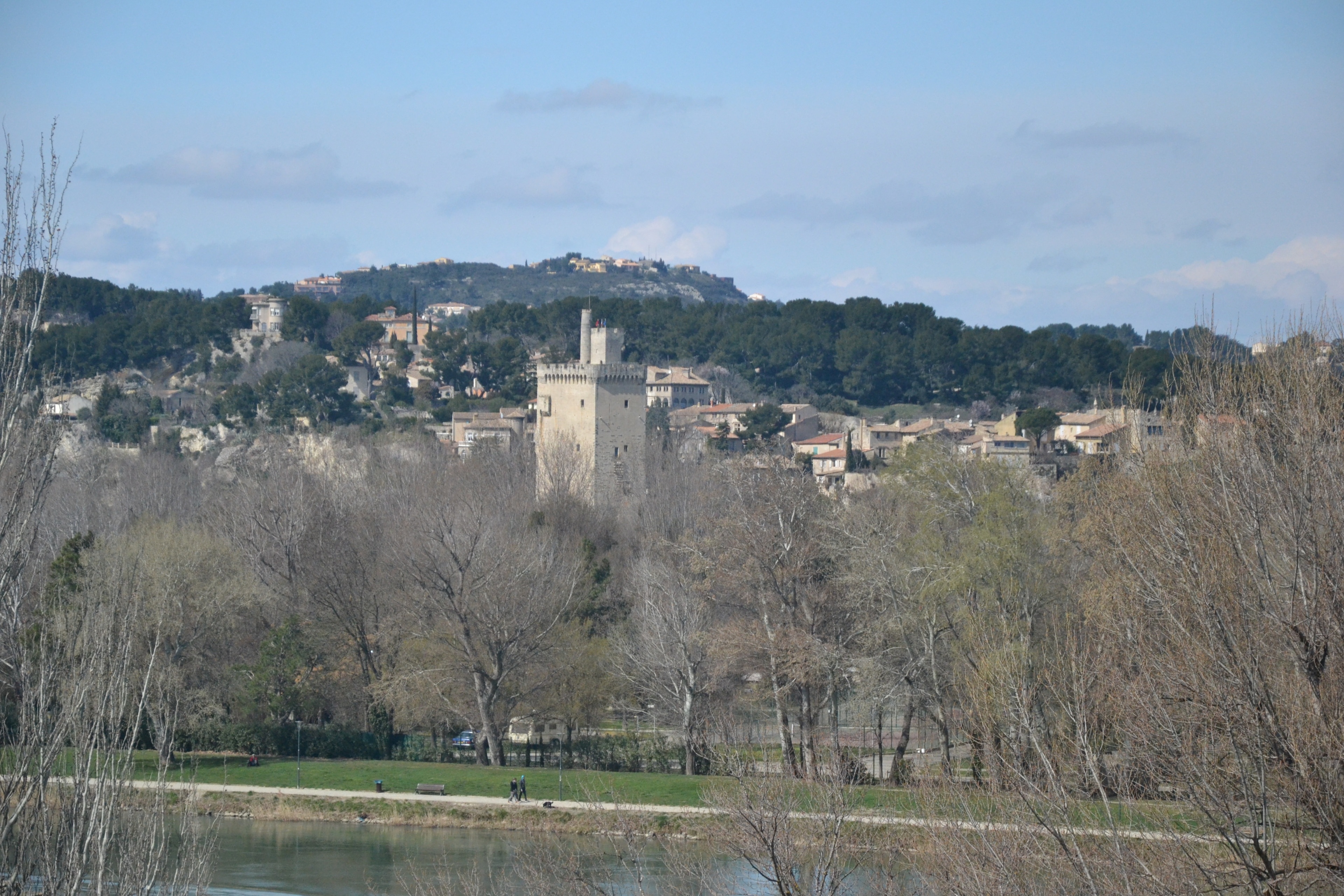 Tour Philippe le Bel vue d'Avignon