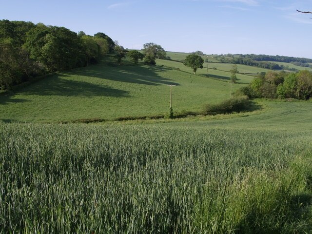Foto „Combpyne Rousdon“ von Derek Harper (CC BY-SA)/zugeschnittenes Original