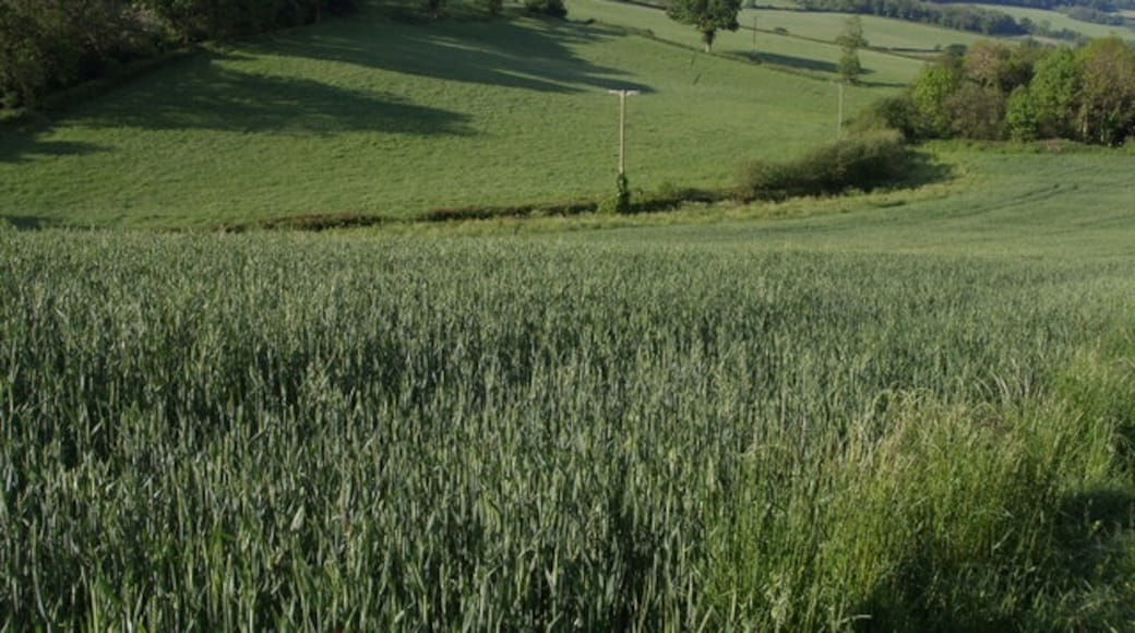 Foto „Combpyne Rousdon“ von Derek Harper (CC BY-SA)/zugeschnittenes Original