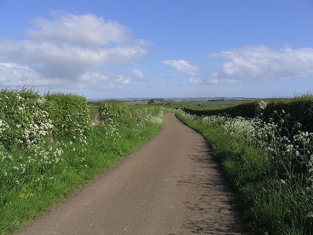 A country road to the north of Lowick