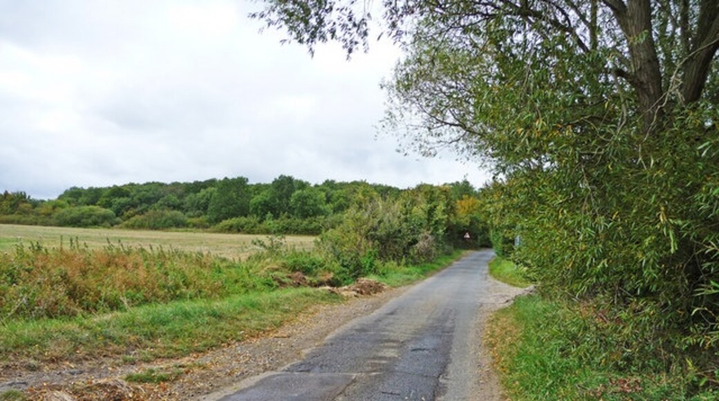 Foto “Hail Weston” tomada por Christine Matthews (CC BY-SA); recorte de la original