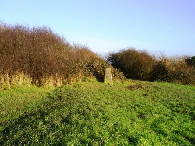 Kuva ”Oldland” käyttäjältä Damon Knight (CC BY-SA) / rajattu alkuperäisestä kuvasta