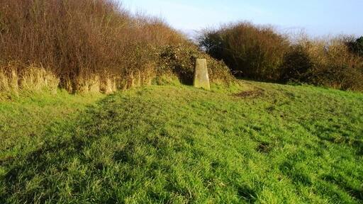 Kuva ”Oldland” käyttäjältä Damon Knight (CC BY-SA) / rajattu alkuperäisestä kuvasta