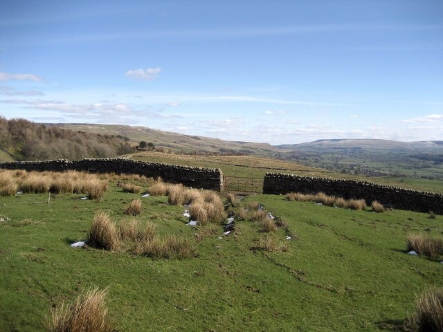 Billede "Low Abbotside" af Chris Heaton (CC BY-SA) / beskåret fra det originale billede