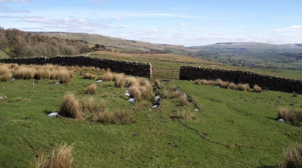 Billede "Low Abbotside" af Chris Heaton (CC BY-SA) / beskåret fra det originale billede