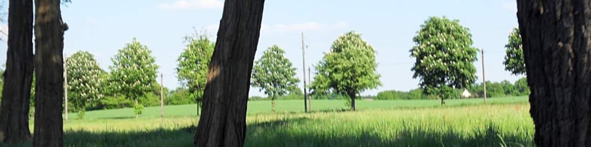 Photo "Hermsdorf - Grünberg" by rucksackkruemel (Creative Commons Attribution 3.0) / Cropped from original