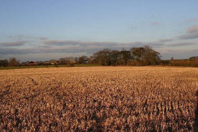 Foto “Bewholme” tomada por Iain Macaulay (CC BY-SA); recorte de la original