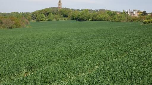 Kuva ”Shelsley Kings” käyttäjältä Philip Halling (CC BY-SA) / rajattu alkuperäisestä kuvasta