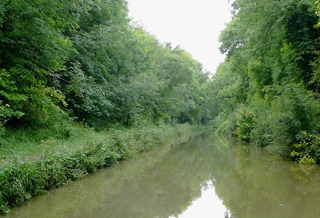 Photo "Rowington" by Roger Kidd (CC BY-SA) / Cropped from original