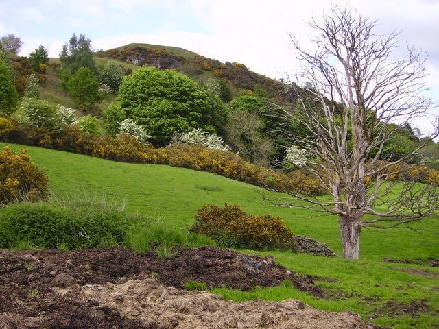 Kuva ”Stainton” käyttäjältä Roy Wall (CC BY-SA) / rajattu alkuperäisestä kuvasta